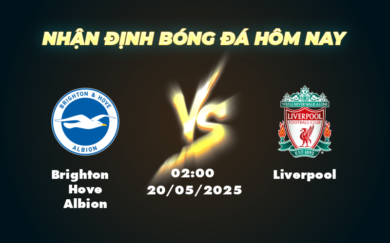 brighton hove albion liverpool 20 05 ngoai hang anh