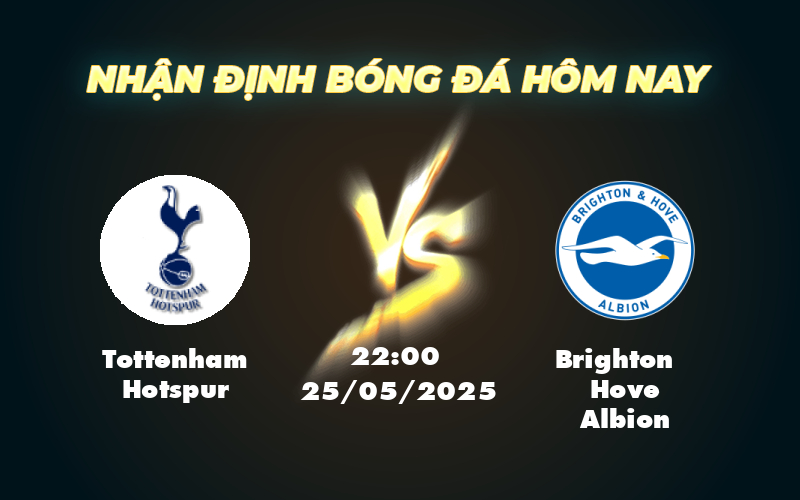 tottenham hotspur brighton hove albion 25 05 ngoai hang anh